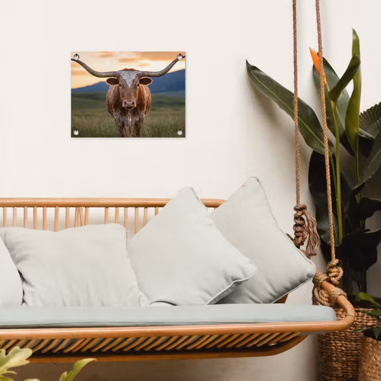 Tuinposter - Longhorn - Landschap - Zonsondergang — 4