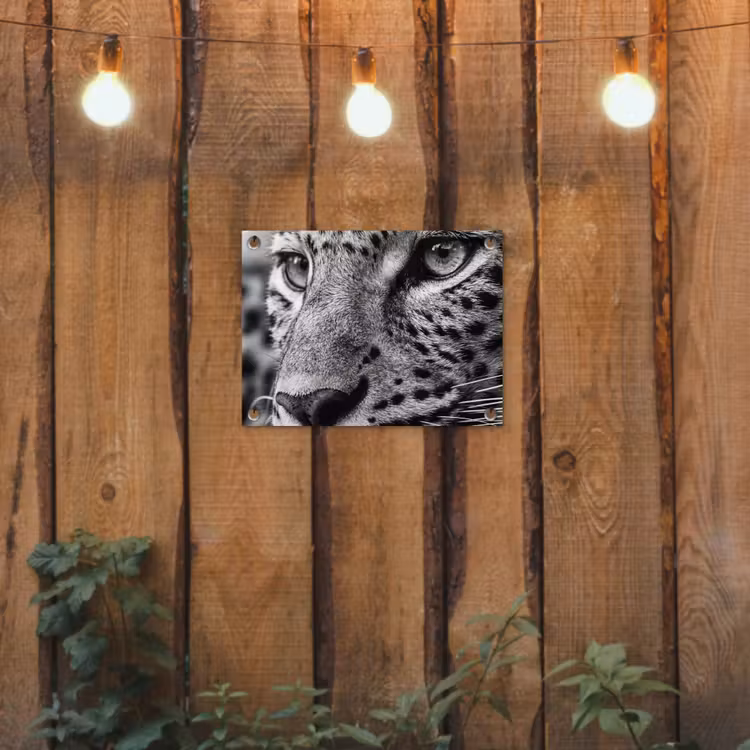 Tuinposter - Luipaard - Zwart - Wit - Oog — 3