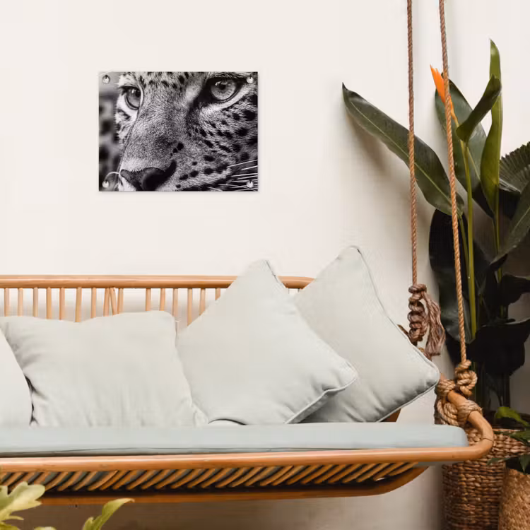 Tuinposter - Luipaard - Zwart - Wit - Oog — 4