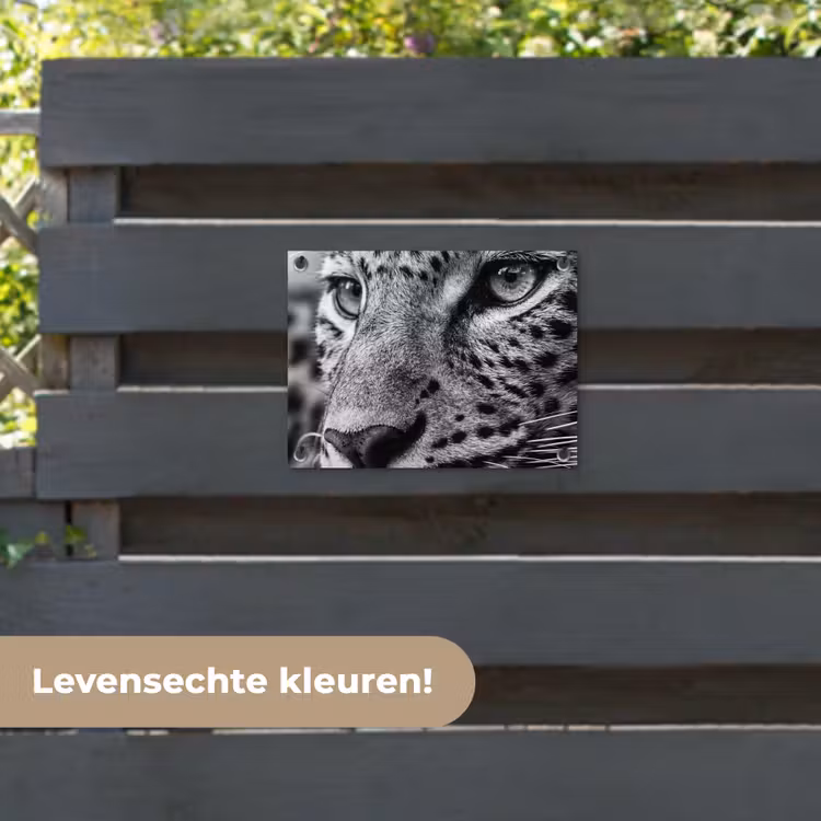 Tuinposter - Luipaard - Zwart - Wit - Oog — 6
