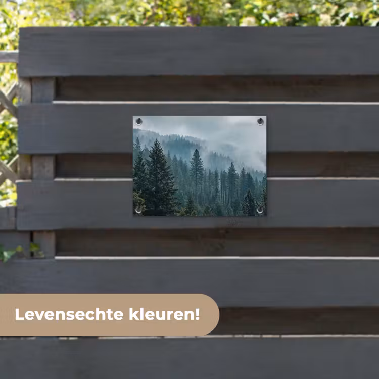 Tuinposter - Naaldwoud - Bergen - Mist — 6