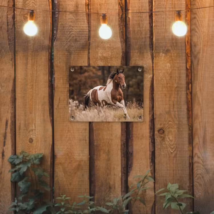 Tuinposter - Paard - Bruin - Gras — 3
