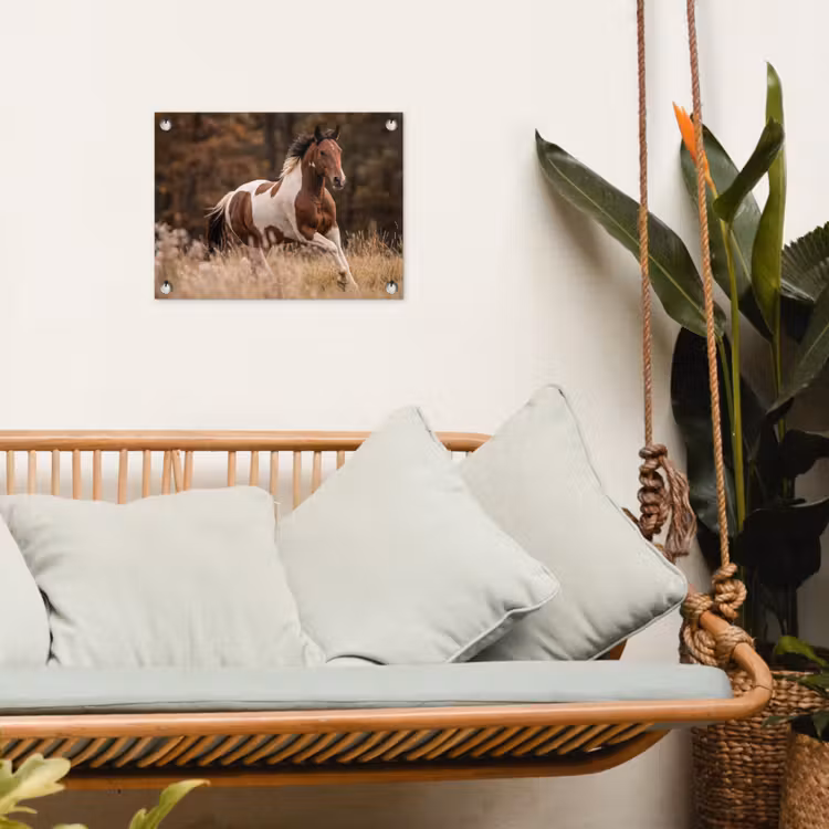 Tuinposter - Paard - Bruin - Gras — 4