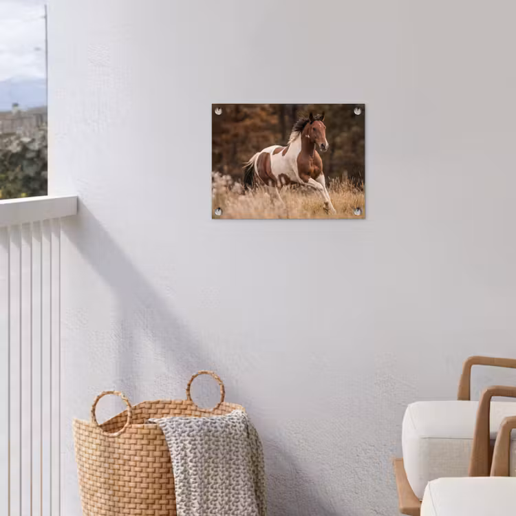 Tuinposter - Paard - Bruin - Gras — 5