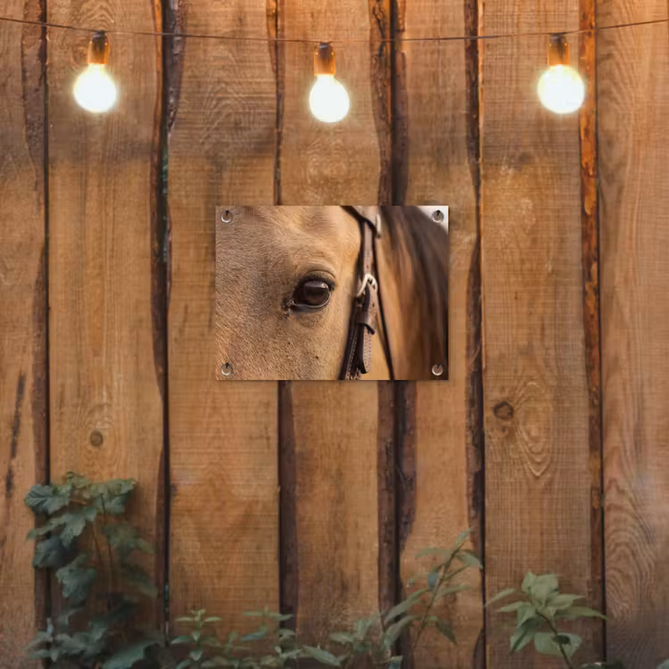 Tuinposter - Paard - Oog - Bruin — 3
