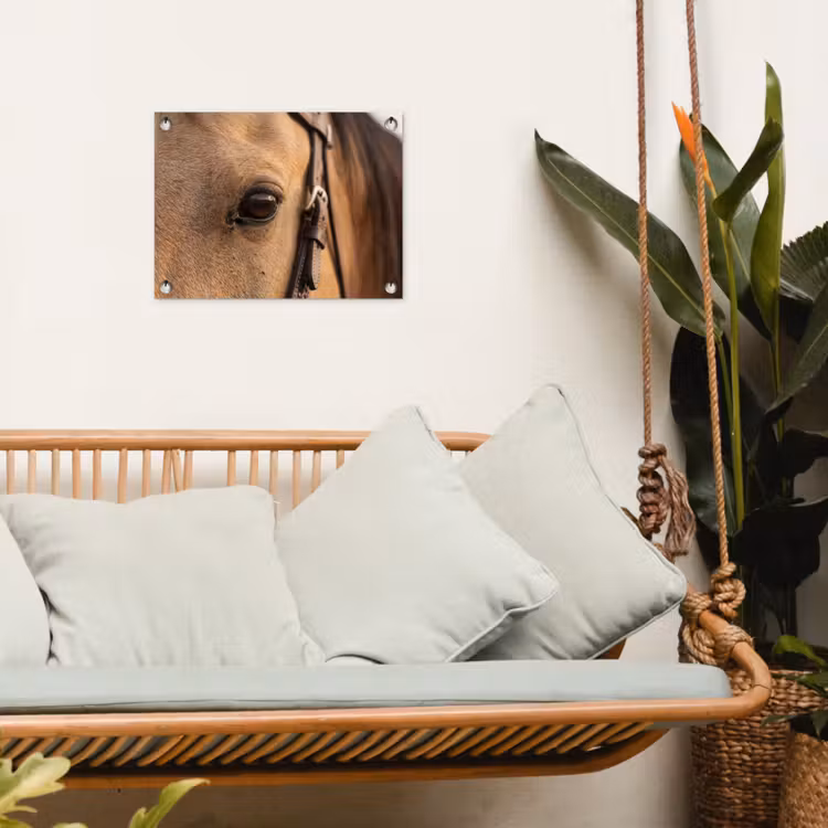 Tuinposter - Paard - Oog - Bruin — 4