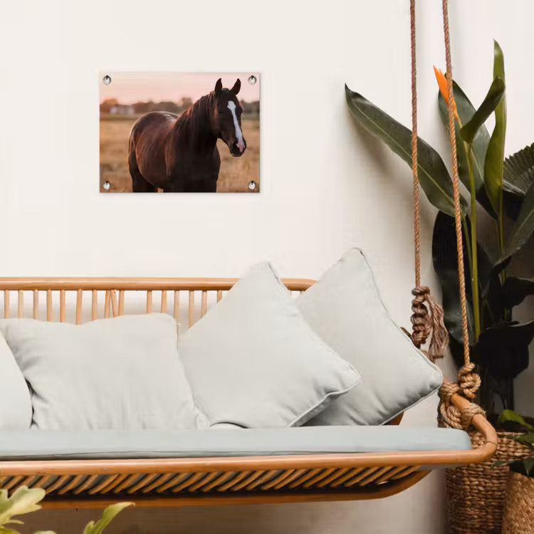 Tuinposter - Paard - Zonsondergang - Bruin — 4