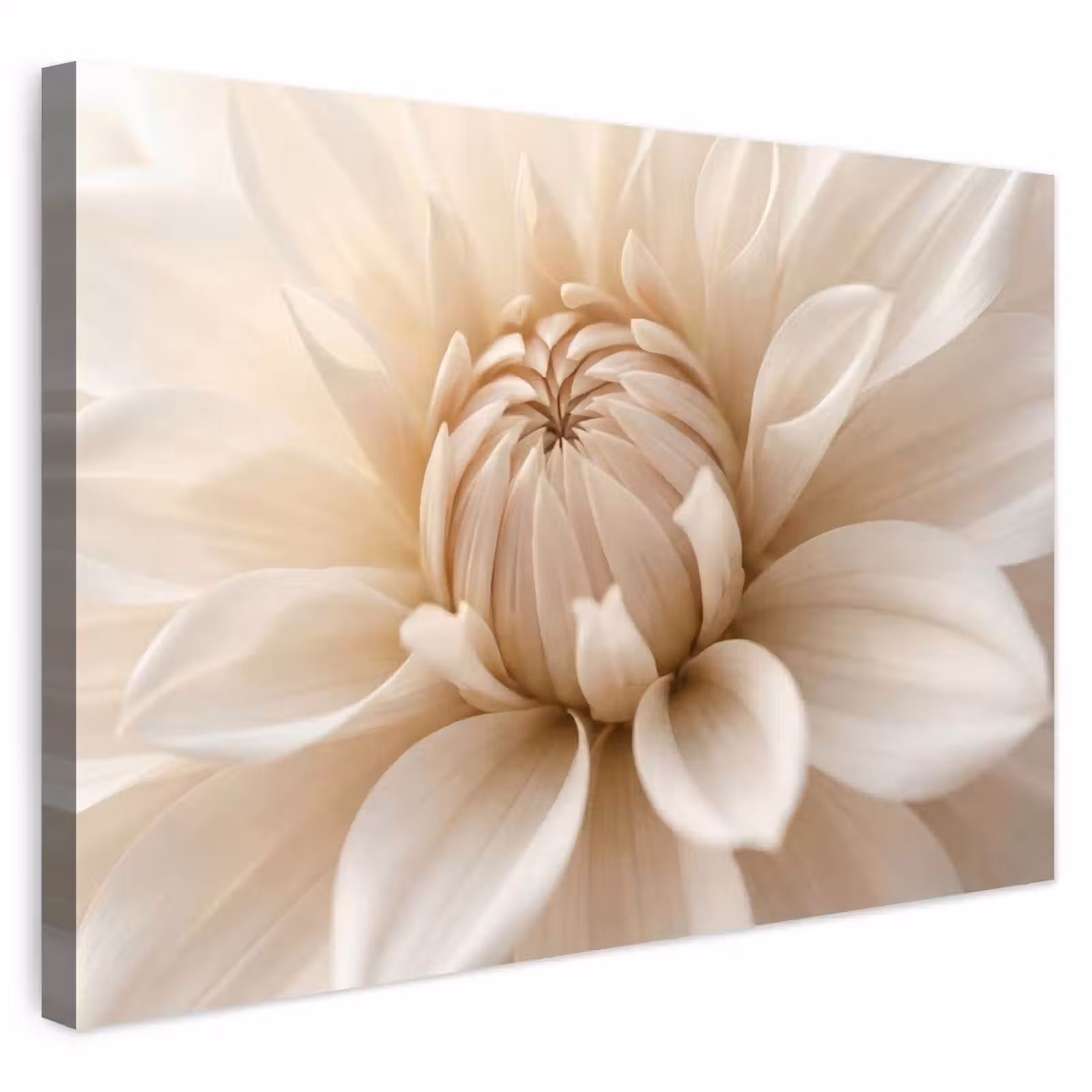 Buiten canvas - Bloem - Dahlia - Wit — 1
