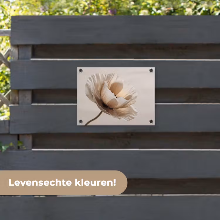 Tuinposter - Bloem - Beige - Crème — 6