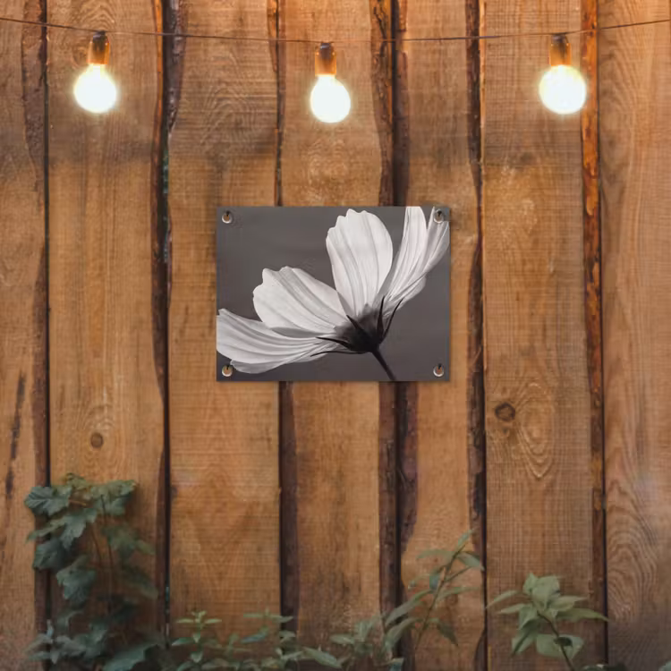 Tuinposter - Bloem - Minimalistisch - Zwart - Wit — 2