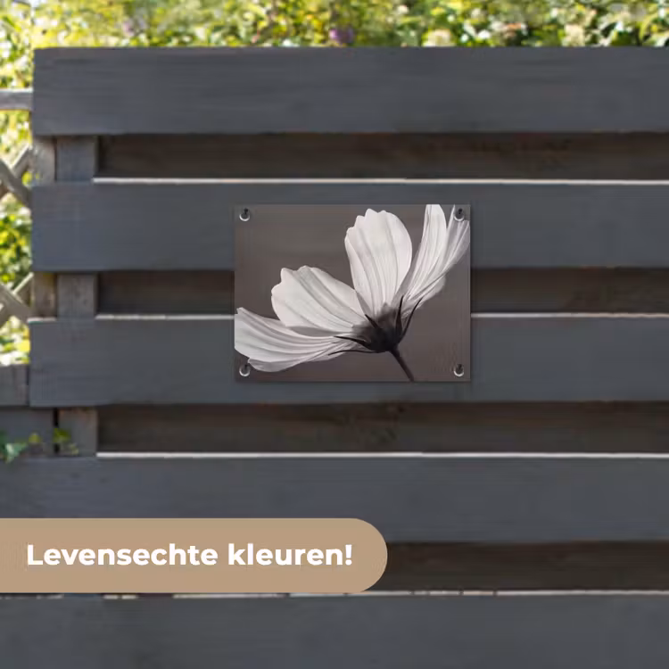 Tuinposter - Bloem - Minimalistisch - Zwart - Wit — 6