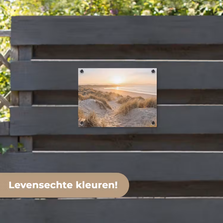 Tuinposter - Duinen - Strand - Zee — 6