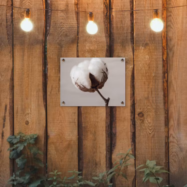 Tuinposter - Katoenbol - Minimalistisch - Wit — 2