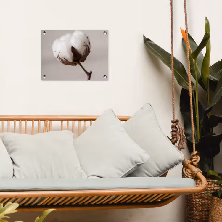 Tuinposter - Katoenbol - Minimalistisch - Wit — 4