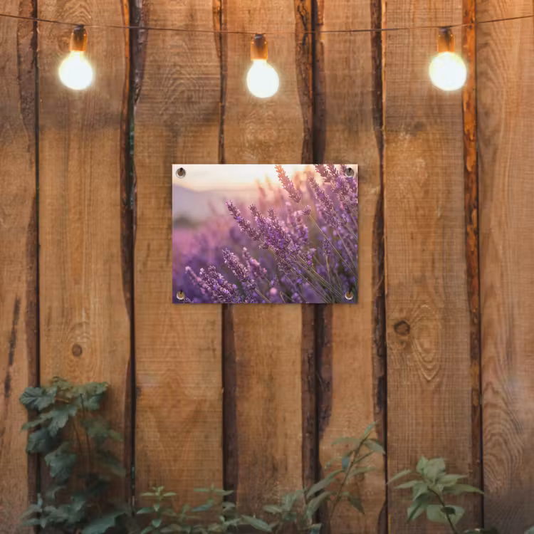 Tuinposter - Lavendel - Paars - Zonlicht — 3