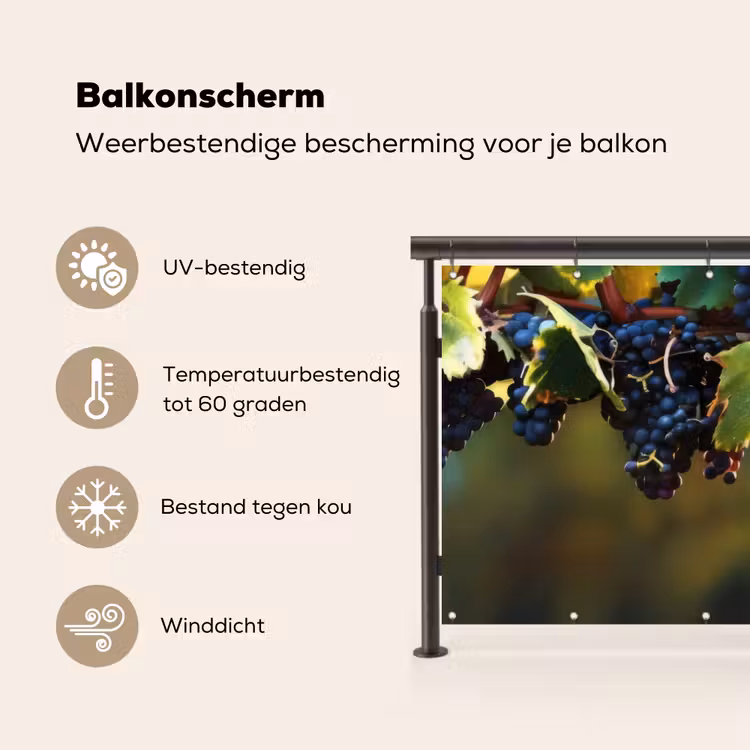 Balkonscherm - Druiven - Wijn - Natuur - Groen — 3