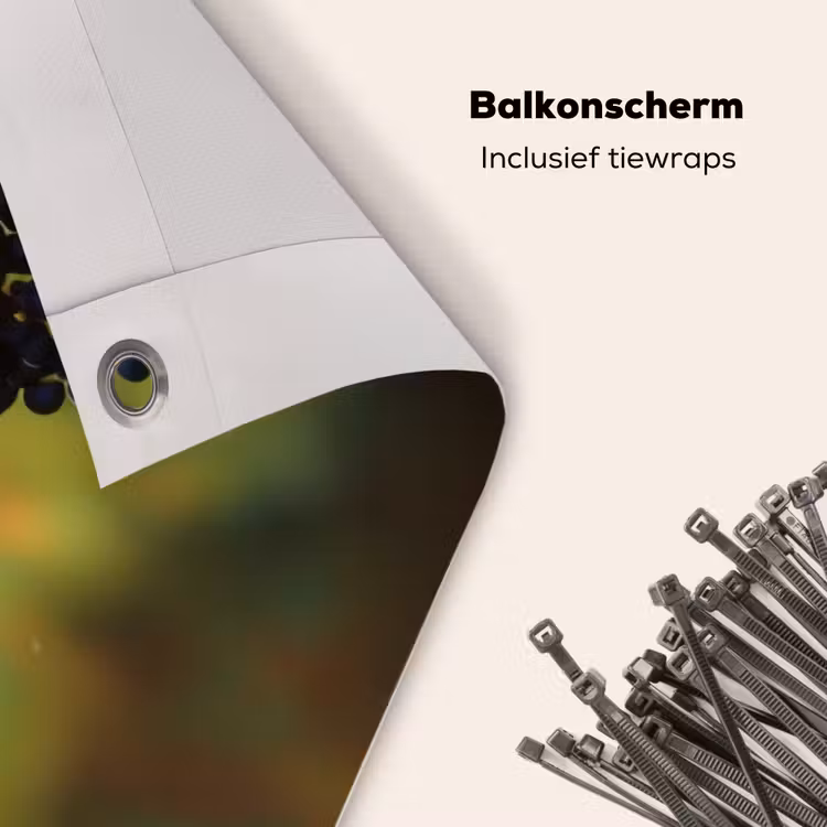 Balkonscherm - Druiven - Wijn - Natuur - Groen — 4
