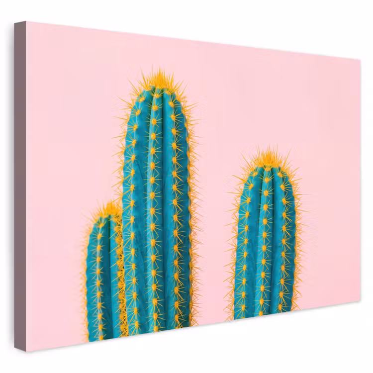 Buiten canvas - Cactussen - Modern - Pastel — 1