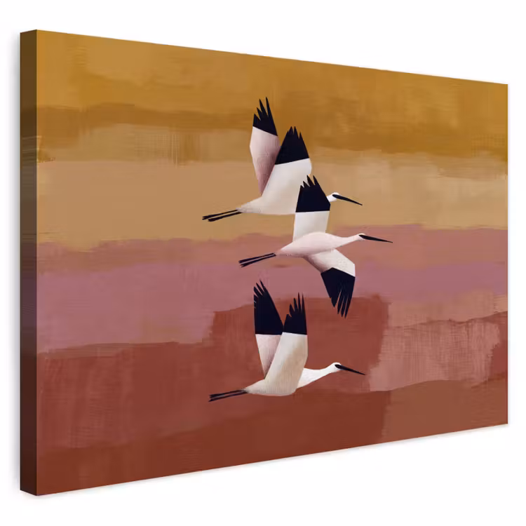 Buiten canvas - Vogels - Snavel - Abstract — 1