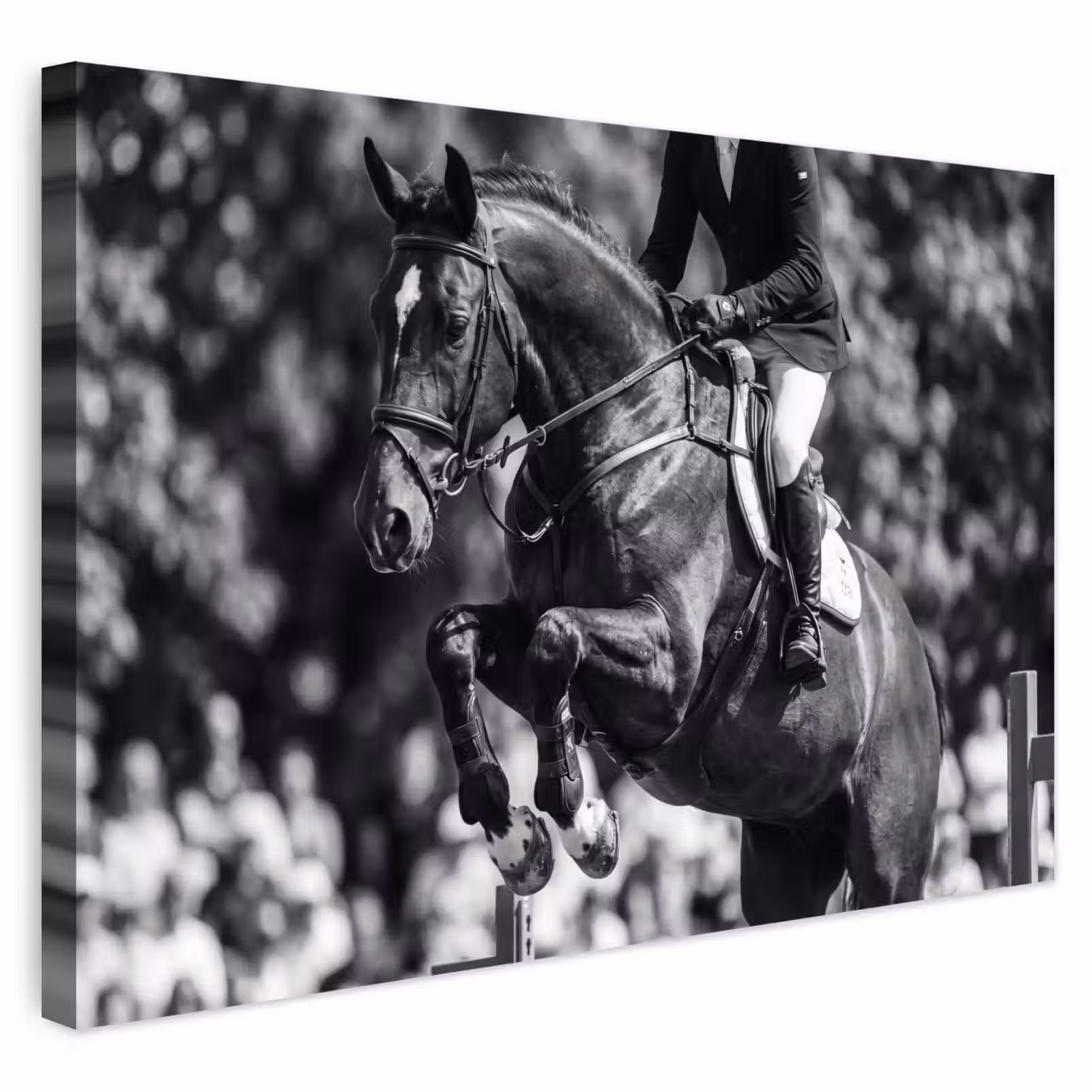 Buiten canvas - Springen - Paard - Zwart - Wit — 1