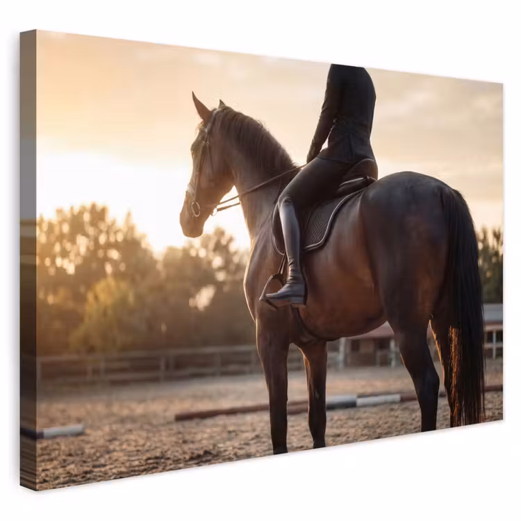Buiten canvas - Harmonie - Ruiter - Zon — 1