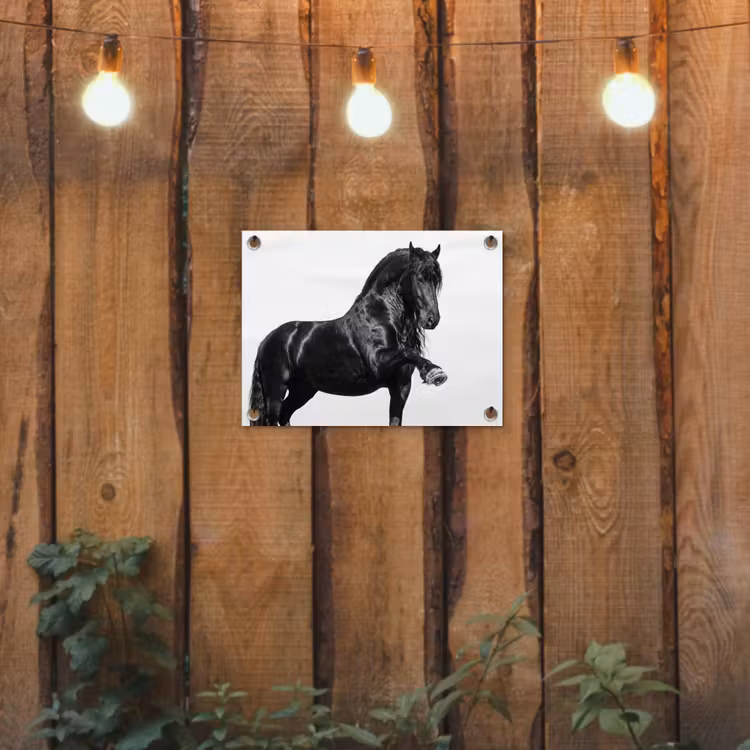 Tuinposter - Fries - Hengst - Modern — 2