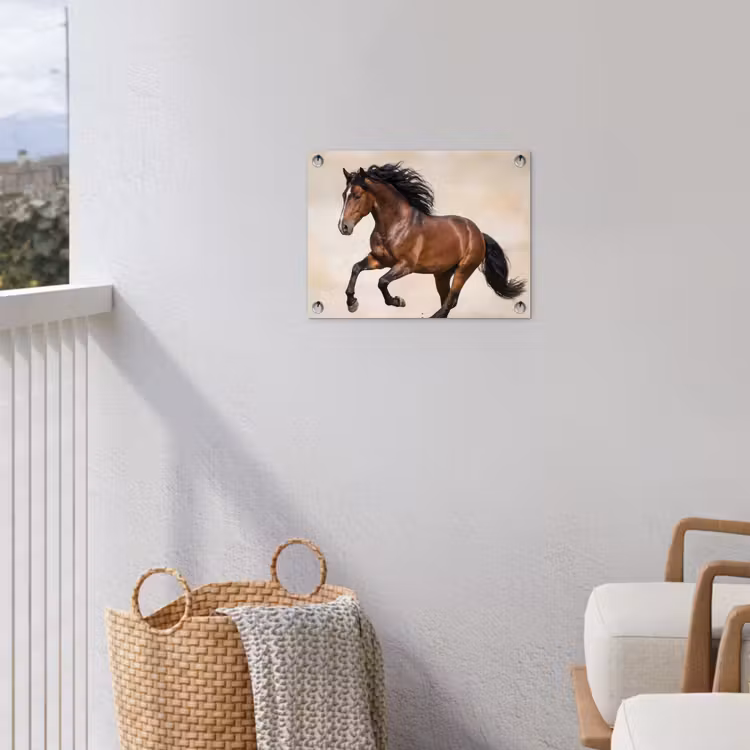 Tuinposter - Paard - Galop - Energie — 5