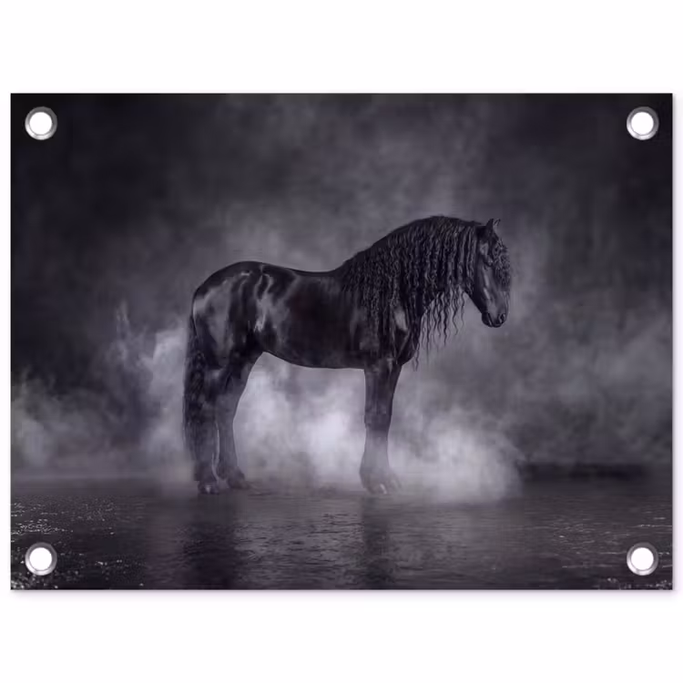 Tuinposter - Paard - Magisch - Zwart — 1