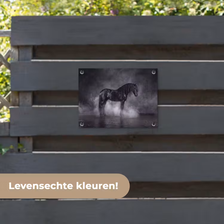 Tuinposter - Paard - Magisch - Zwart — 6