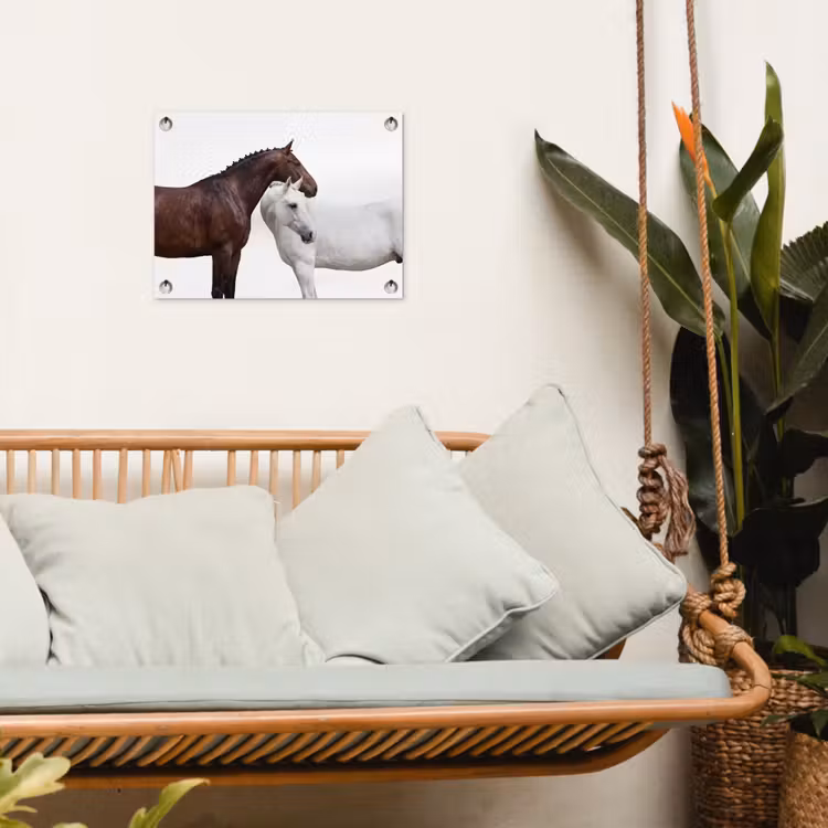 Tuinposter - Paard - Modern - Balans — 4