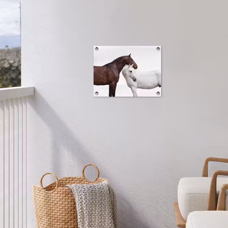 Tuinposter - Paard - Modern - Balans — 5