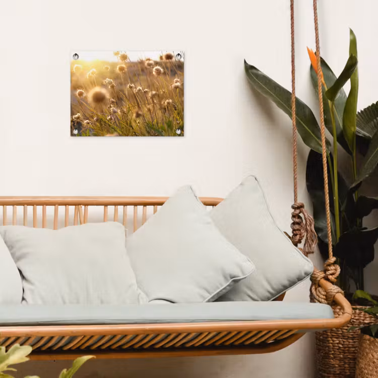 Tuinposter - Verlichte zaadhoofden in de avondzon — 4
