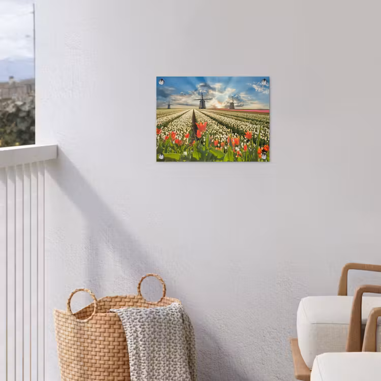 Tuinposter - Windmolens en tulpenvelden bij zonsopgang — 5