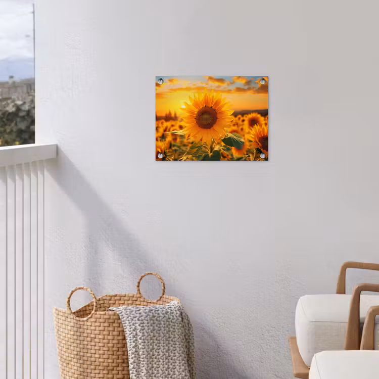 Tuinposter - Zonnebloem in de avondzon — 5