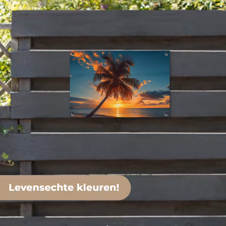 Tuinposter - Tropische Droomzonsondergang — 6