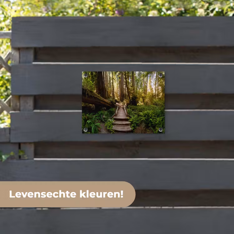 Tuinposter - Verloren Brug in het Woud — 6