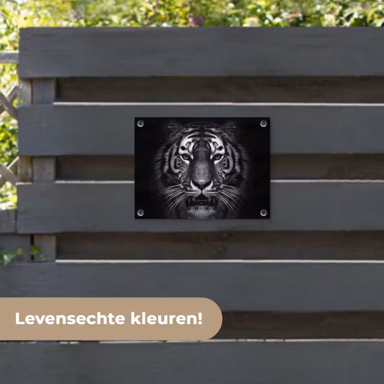 Tuinposter - Tijger in het zwart-wit — 6