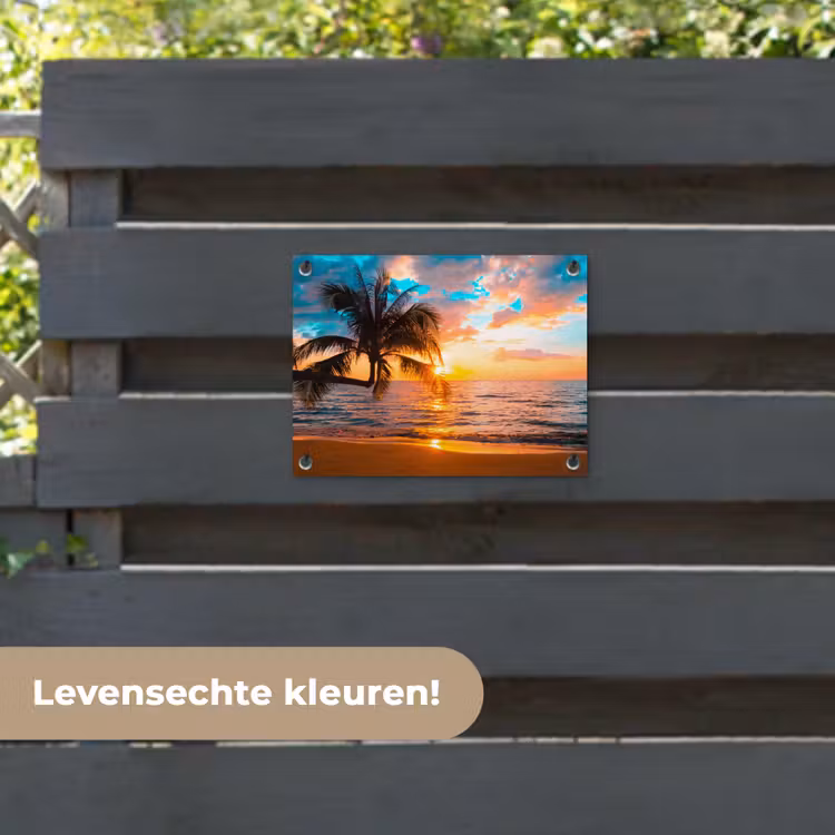 Tuinposter - Tropische Zonsondergang aan Zee — 6