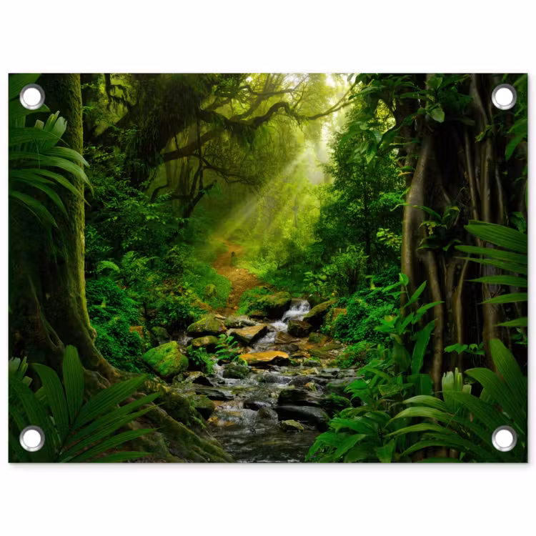 Tuinposter - Zonnige Stralen in het Regenwoud — 1