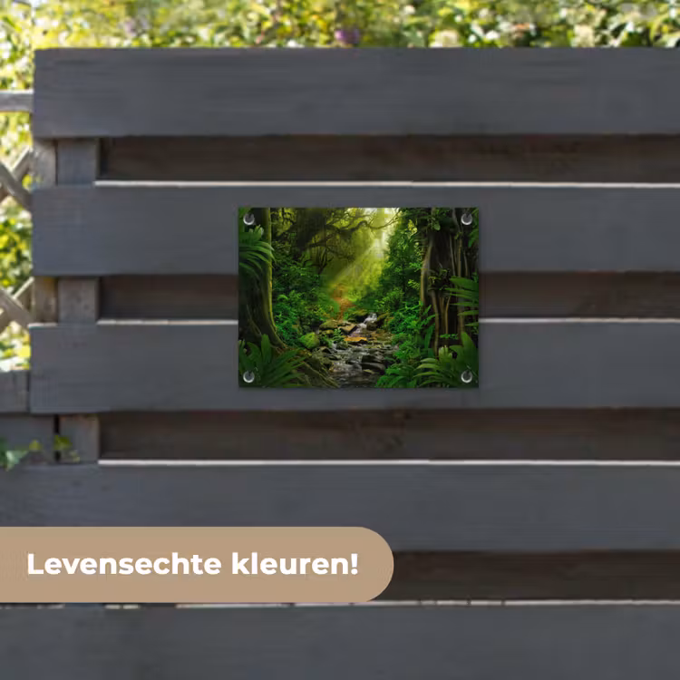 Tuinposter - Zonnige Stralen in het Regenwoud — 6