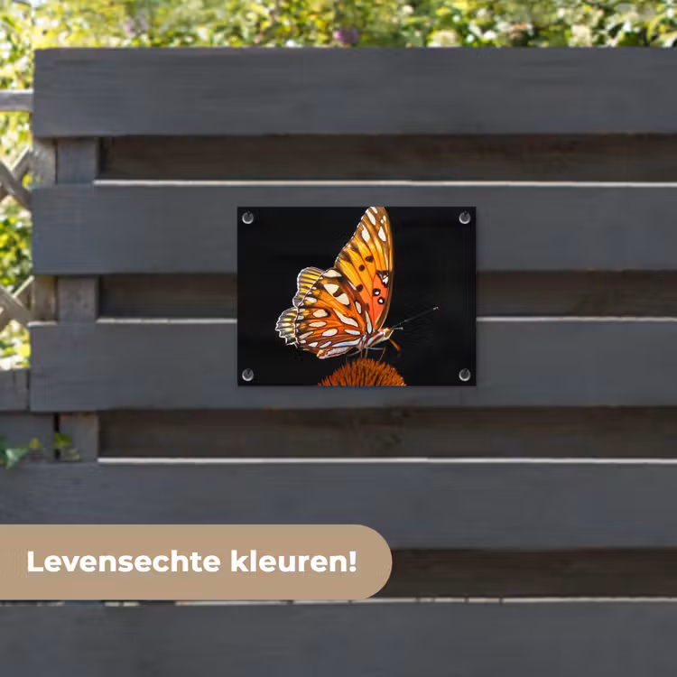 Tuinposter - Vlinder op bloem — 6