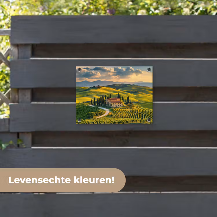 Tuinposter - Toscane - Landschap - Wijngaarden — 6