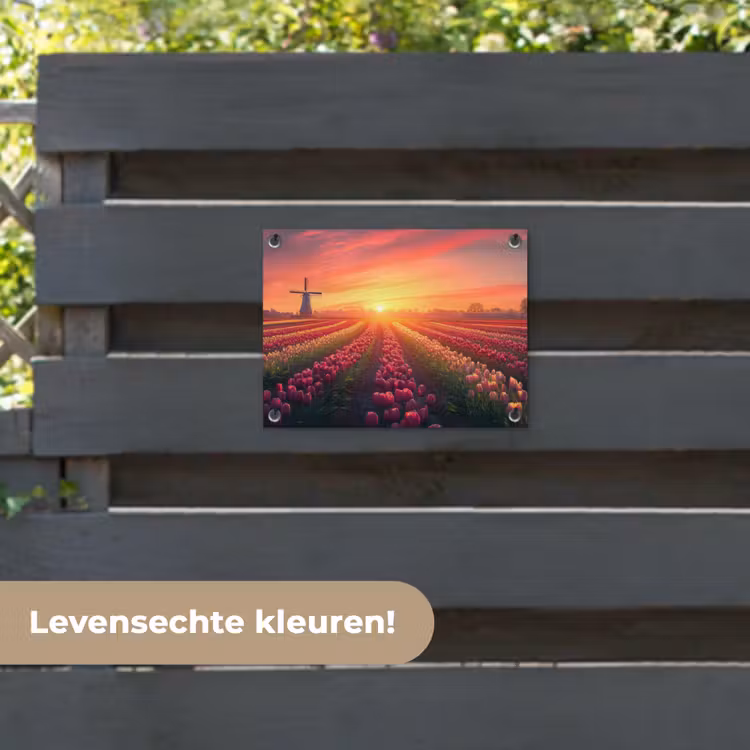 Tuinposter - Windmolen - Zonsondergang - Landschap — 6