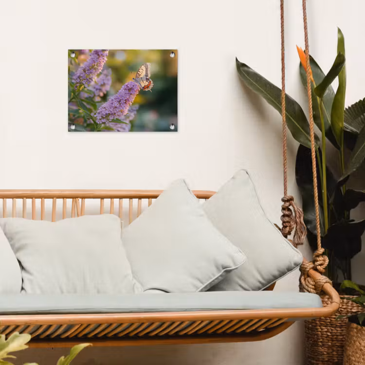 Tuinposter - Sierlijke - Vlinder - Paarse - Bloemen — 4
