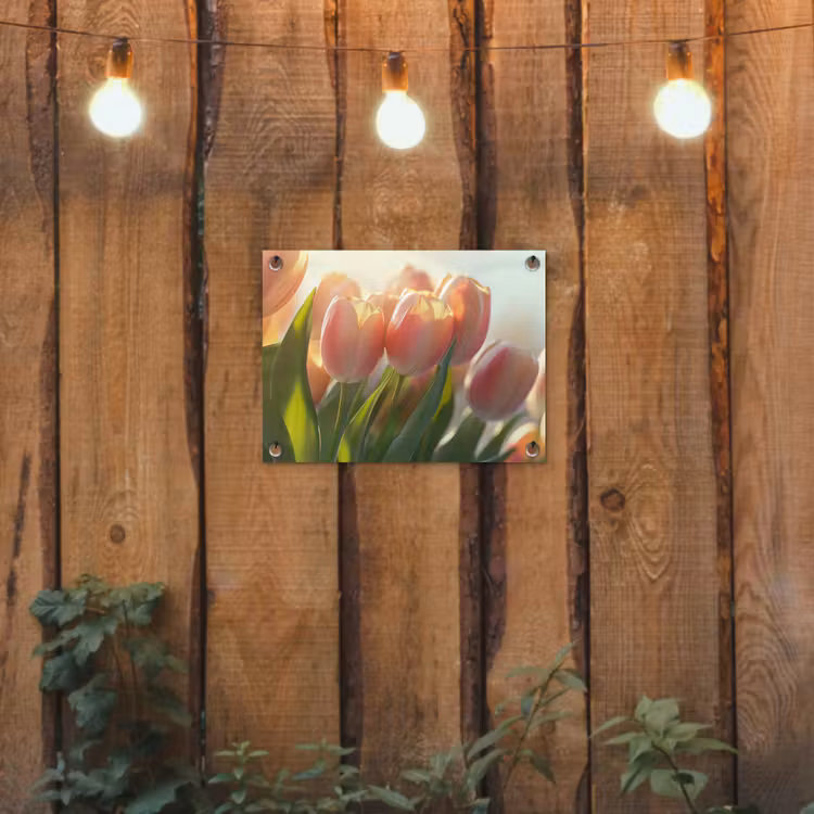 Tuinposter - Tulpen - Roze - Zonnestralen — 3