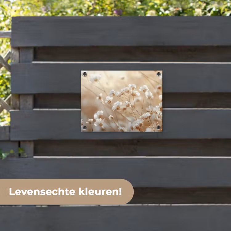 Tuinposter - Wilde - Bloemen - Wit — 6