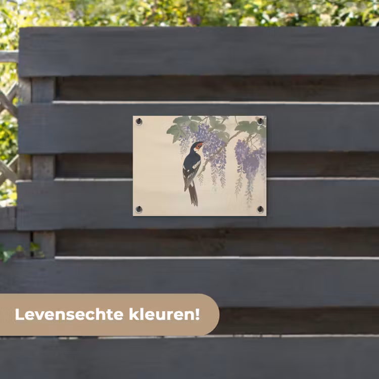 Tuinposter - Specht - Bloemen - Paars — 6