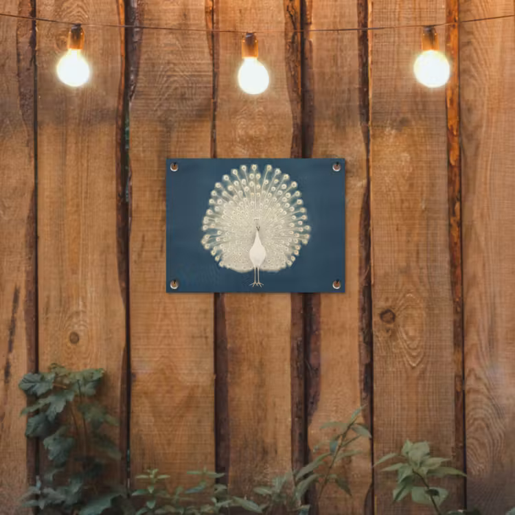 Tuinposter - Vogel - Blauw - Vintage — 3