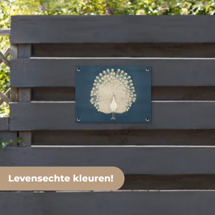 Tuinposter - Vogel - Blauw - Vintage — 6