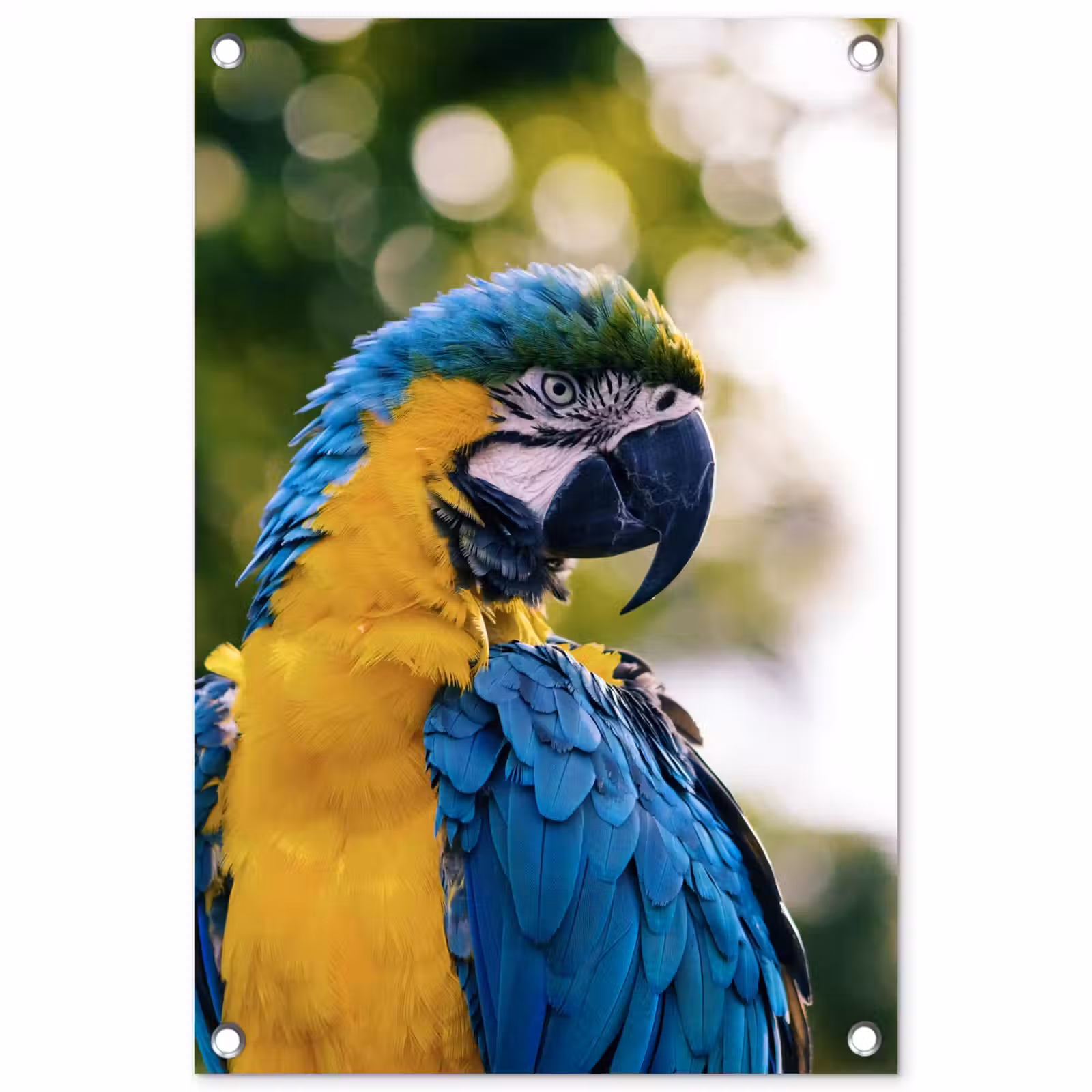 Tuinposter - Vogel - Papegaai - Ara — 1